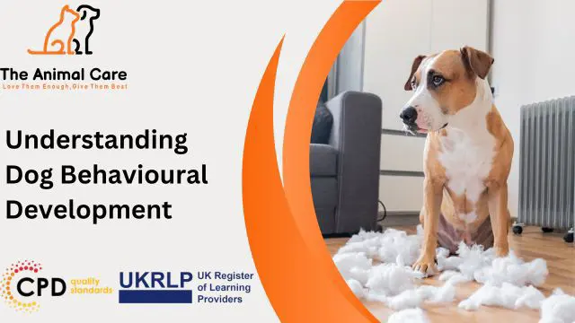 Understanding Dog Behavioural Development
