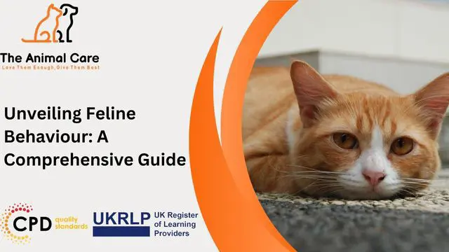 Unveiling Feline Behaviour: A Comprehensive Guide