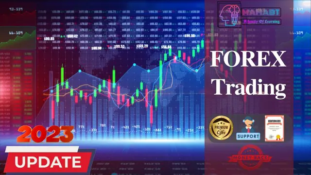FOREX Trading Training Course