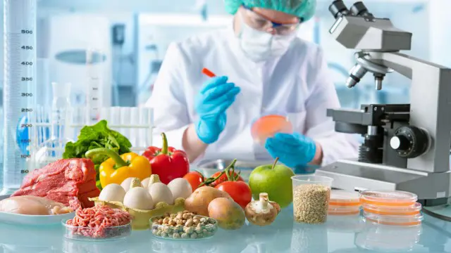 HACCP Essentials: Ensuring Food Safety and Compliance