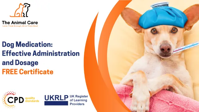 Dog Medication: Effective Administration and Dosage
