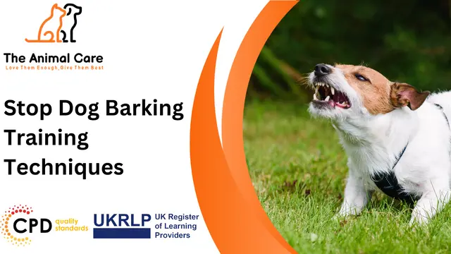 Stop Dog Barking Training Techniques