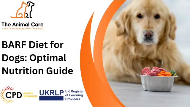 BARF Diet for Dogs: Optimal Nutrition Guide