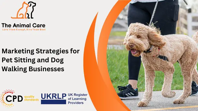 Marketing Strategies for Pet Sitting and Dog Walking Businesses