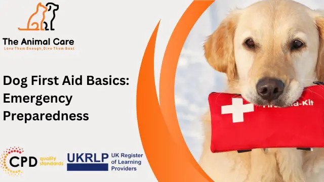 Dog First Aid Basics: Emergency Preparedness