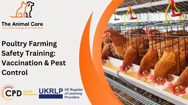Poultry Farming Safety Training: Vaccination & Pest Control