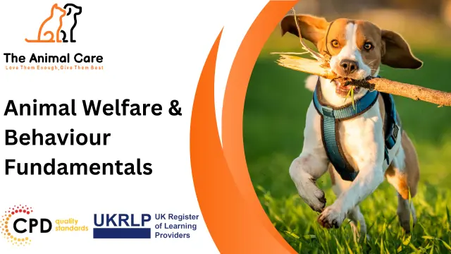 Animal Welfare & Behaviour Fundamentals
