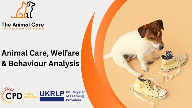 Animal Care, Welfare & Behaviour Analysis