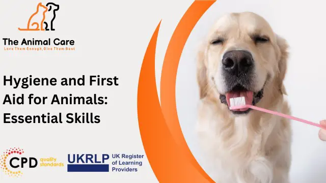 Hygiene and First Aid for Animals: Essential Skills