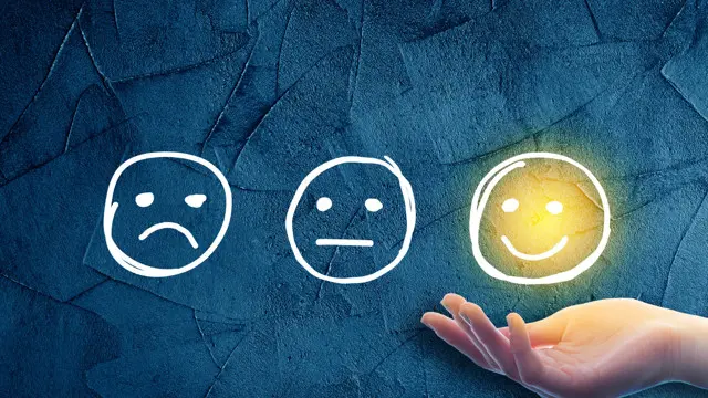 Emotional Intelligence at Work: Learn from Your Emotions