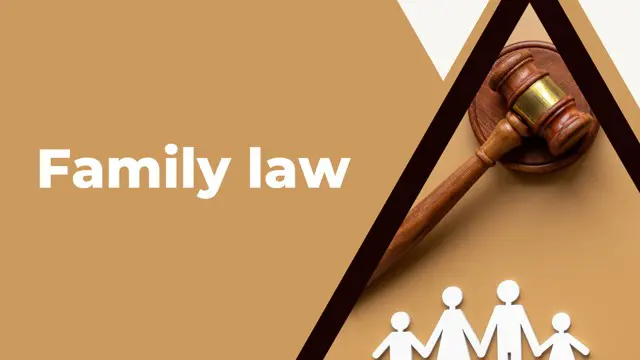 Family law Crash Course