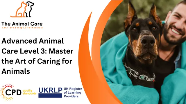 Advanced Animal Care Level 3: Master the Art of Caring for Animals