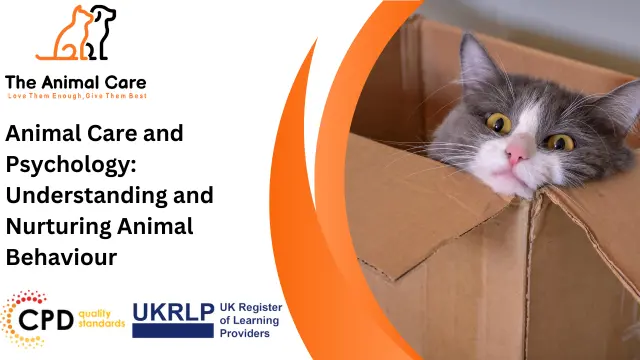 Animal Care and Psychology: Understanding and Nurturing Animal Behaviour