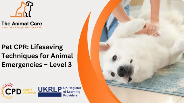 Pet CPR: Lifesaving Techniques for Animal Emergencies – Level 3