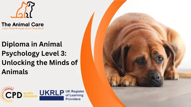 Diploma in Animal Psychology Level 3: Unlocking the Minds of Animals