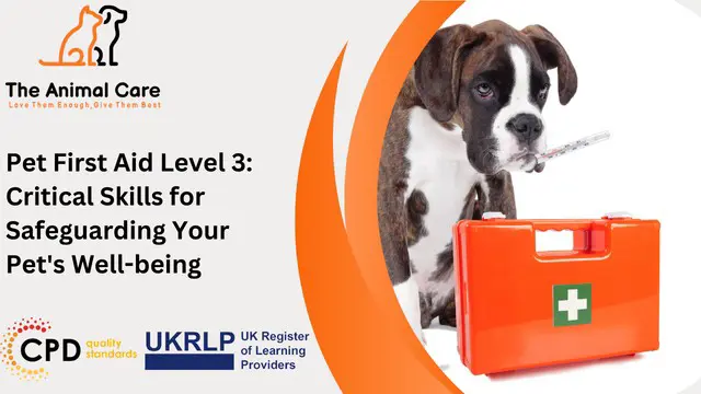 Pet First Aid Level 3: Critical Skills for Safeguarding Your Pet's Well-being