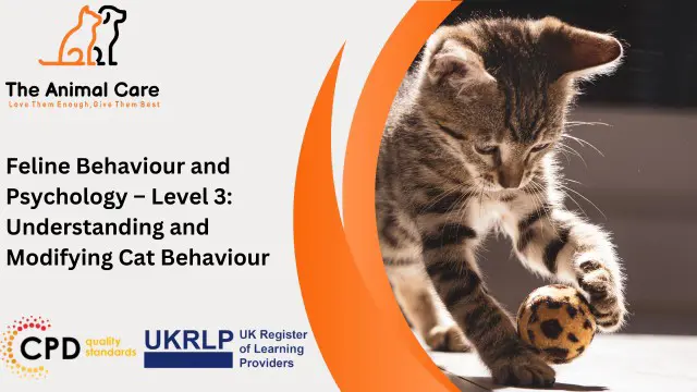 Feline Behaviour and Psychology – Level 3: Understanding and Modifying Cat Behaviour
