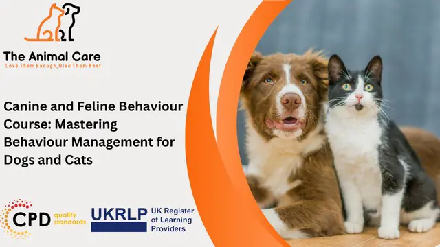 Canine and Feline Behaviour Course: Mastering Behaviour Management for Dogs and Cats