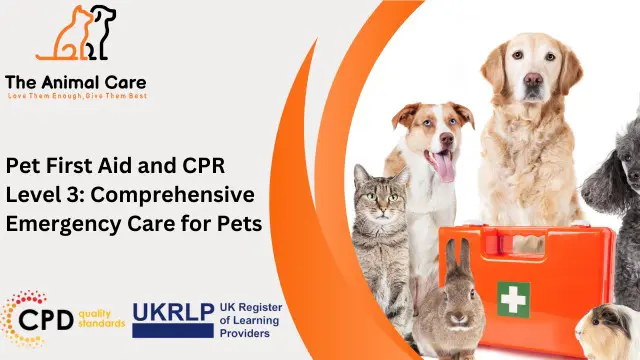 Pet First Aid and CPR Level 3: Comprehensive Emergency Care for Pets
