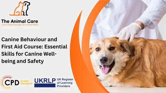 Canine Behaviour and First Aid Course: Essential Skills for Canine Well-being and Safety