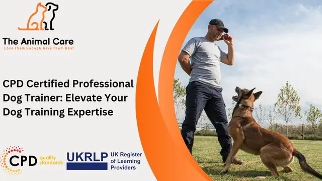 CPD Certified Professional Dog Trainer: Elevate Your Dog Training Expertise