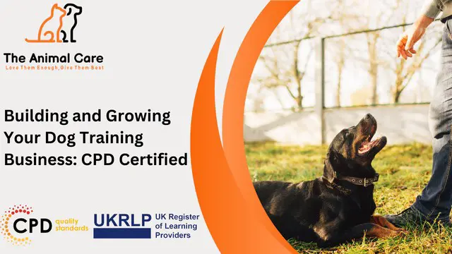 Building and Growing Your Dog Training Business: CPD Certified