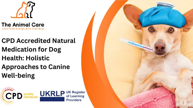 CPD Accredited Natural Medication for Dog Health: Holistic Approaches to Canine Well-being