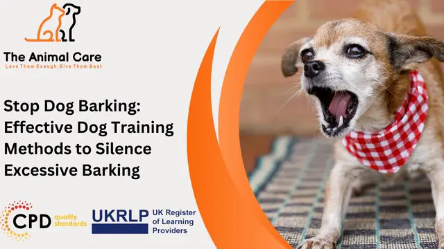 Stop Dog Barking: Effective Dog Training Methods to Silence Excessive Barking