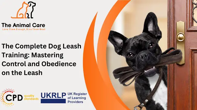 The Complete Dog Leash Training: Mastering Control and Obedience on the Leash