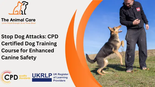 Stop Dog Attacks: CPD Certified Dog Training Course for Enhanced Canine Safety