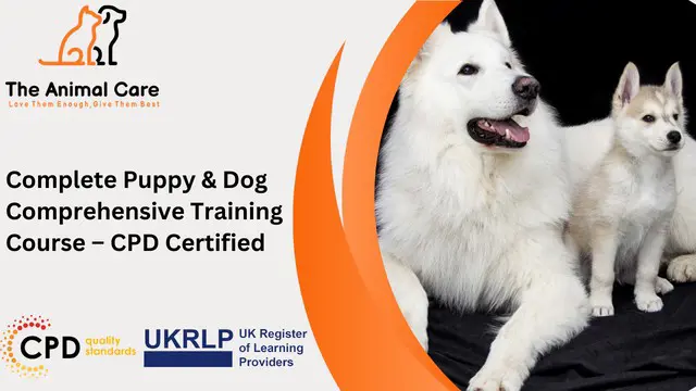 Complete Puppy & Dog Comprehensive Training Course – CPD Certified