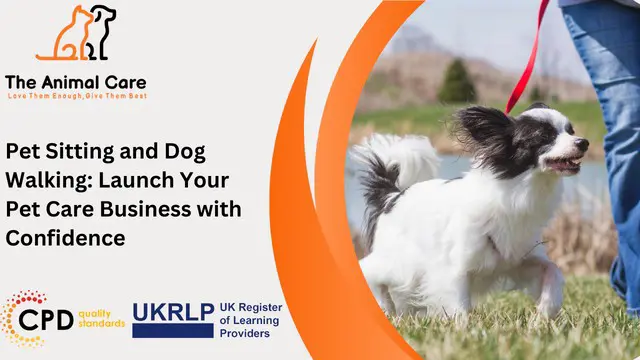 Pet Sitting and Dog Walking: Launch Your Pet Care Business with Confidence
