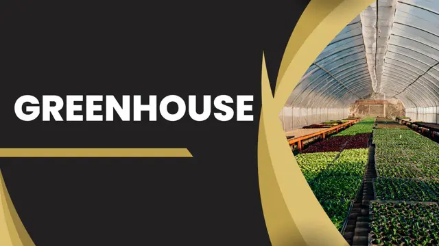 Greenhouse Level 5 Advance Diploma (A-Z) - CPD Endorsed