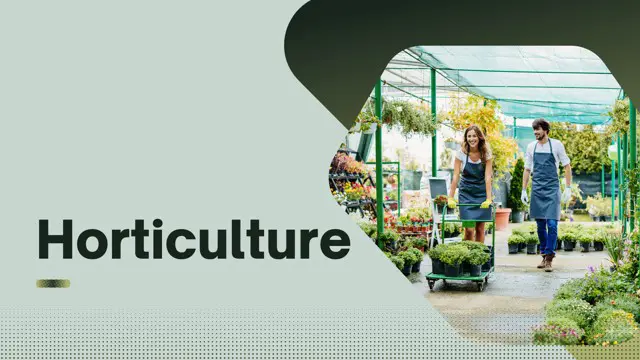Horticulture Level 3 Advanced Diploma - CPD Endorsed