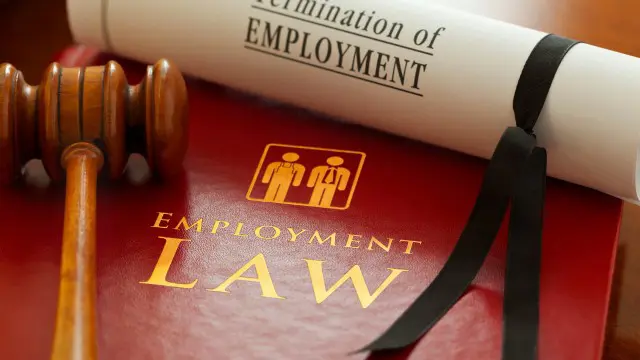 Employment Laws and Rights in the UK