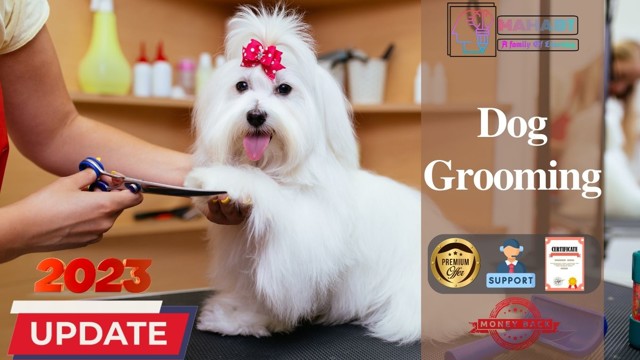 can you make good money as a dog groomer