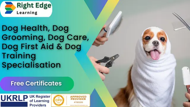 Dog Health, Dog Grooming, Dog Care, Dog First Aid & Dog Training Specialisation