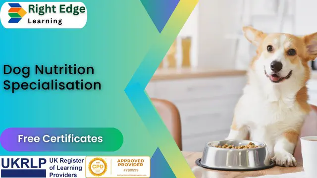 Dog Nutrition Specialisation