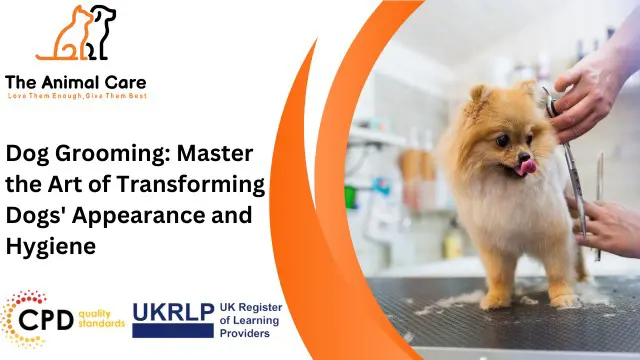 Dog Grooming: Master the Art of Transforming Dogs' Appearance and Hygiene