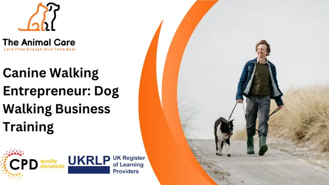 Canine Walking Entrepreneur: Dog Walking Business Training