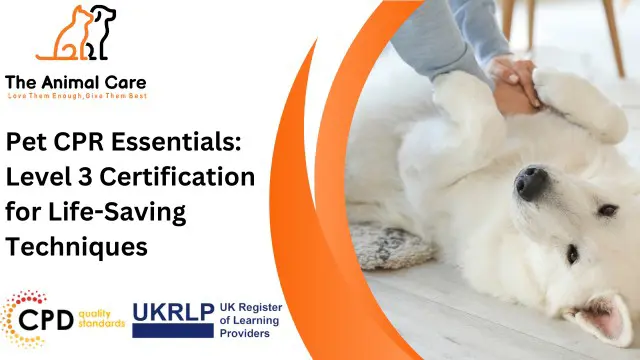 Pet CPR Essentials: Level 3 Certification for Life-Saving Techniques