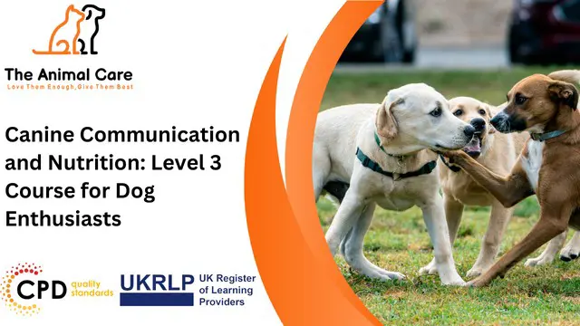 Canine Communication and Nutrition: Level 3 Course for Dog Enthusiasts