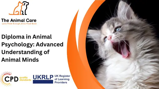 Diploma in Animal Psychology: Advanced Understanding of Animal Minds