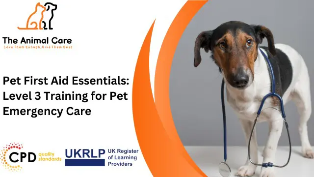 Pet First Aid Essentials: Level 3 Training for Pet Emergency Care