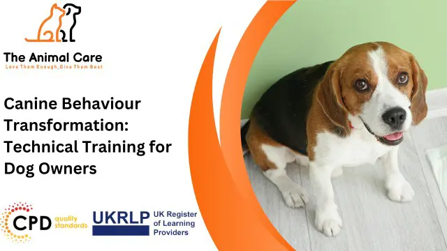 Canine Behaviour Transformation: Technical Training for Dog Owners