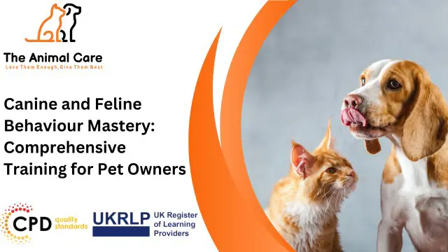 Canine and Feline Behaviour Mastery: Comprehensive Training for Pet Owners