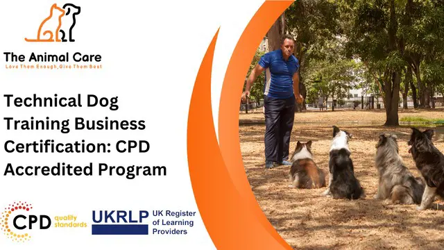 Technical Dog Training Business Certification: CPD Accredited Program