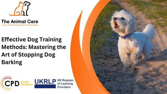 Effective Dog Training Methods: Mastering the Art of Stopping Dog Barking