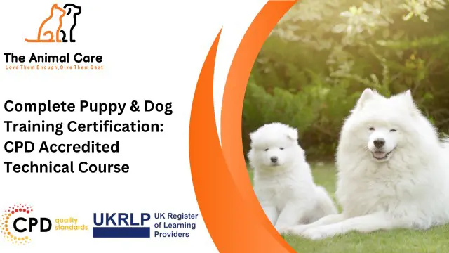 Complete Puppy & Dog Training Certification: CPD Accredited Technical Course