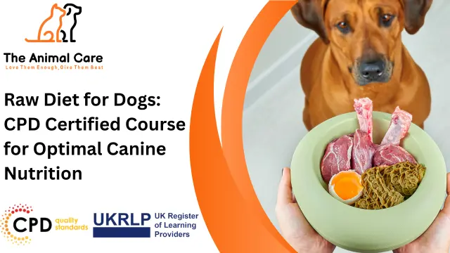 Raw Diet for Dogs: CPD Certified Course for Optimal Canine Nutrition